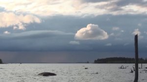 Карелия. Сплав по реке Онда.