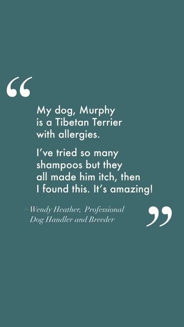 Introducing WildWash Pro Sensitive Shampoo for Dogs