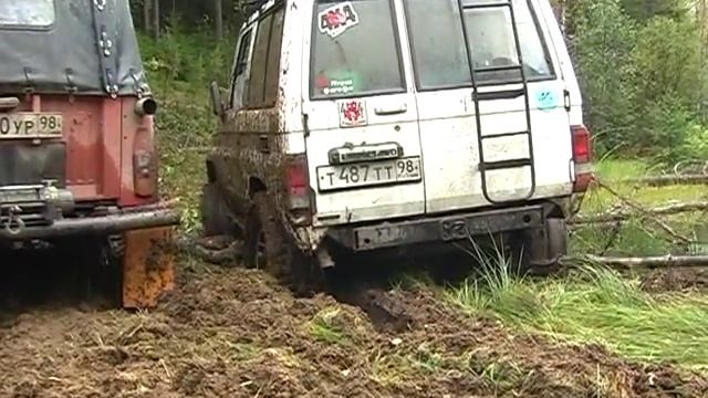 вепсский лес 2010