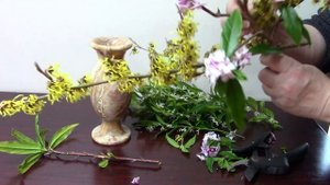 3 Best Scented Shrubs for Winter - witch hazel, sweet box & daphne