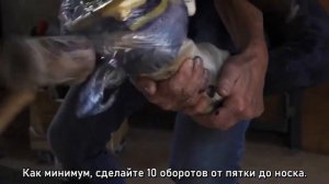 Как установить полиуретановую подкову на копыто лошади?