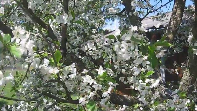 Das Summen der Großstadt смотреть онлайн