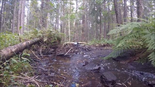 Traxxas TRX 4 Trails and Rivers in Asker Norway смотреть онлайн