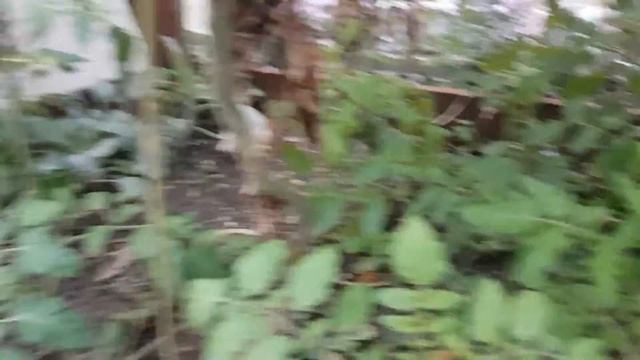 4 октября 2022 года целая куча огурцов и помидоров :) смотреть онлайн