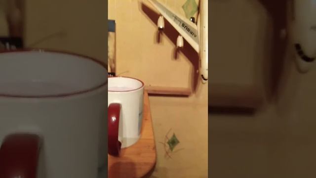 шишка умывается после еды смотреть онлайн