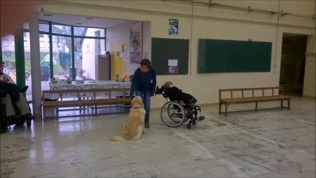 Geisha смотреть онлайн