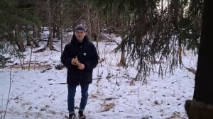 Стихотворение «Сложил в первое утро весны» написано в жанре танка.