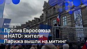 Против Евросоюза и НАТО: жители Парижа вышли на митинг