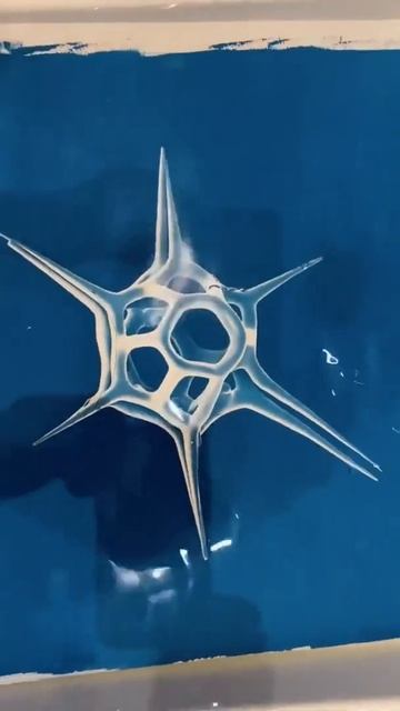 PHYTOPLANKTON - Inga Lisa Middleton - Cyanotypes смотреть онлайн