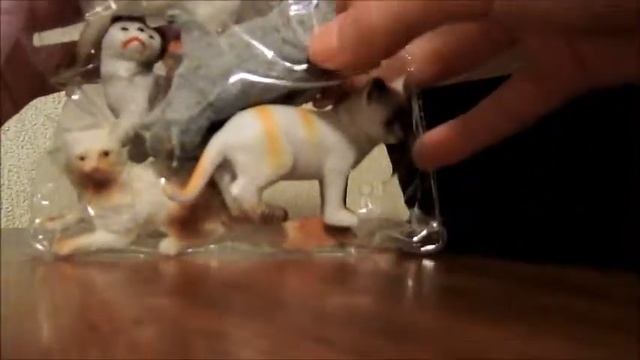 Мои новые кошки