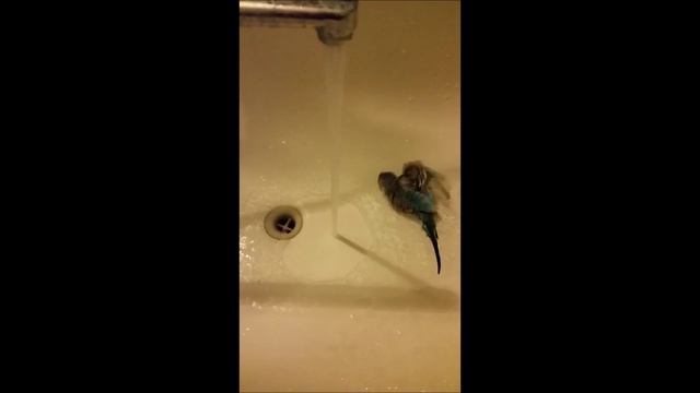 Кеша (Baffer) смотреть онлайн