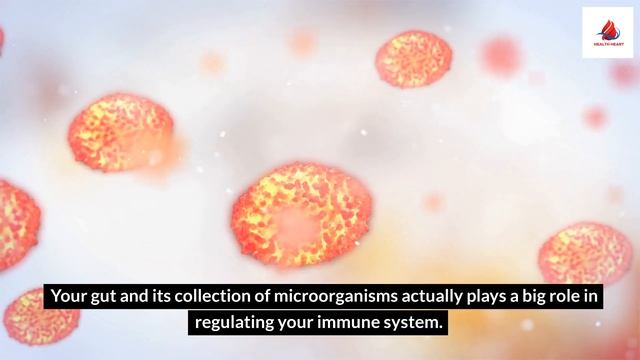 9 Foods That May Help Ease Your Allergies смотреть онлайн