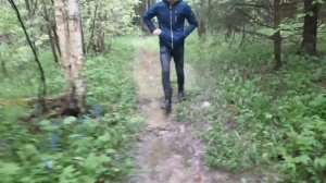 Мохи капи дар чангал