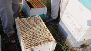 Как перейти с Рутовской рамки на магазинную 145 рамку. Так сделал я  🎥 🎬