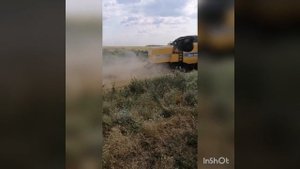 Комбайн убирает пшеницу