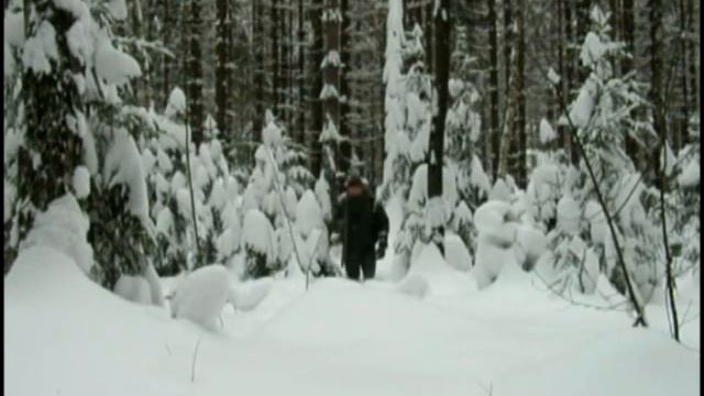 На Охоте... смотреть онлайн