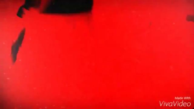 На меня напали 4 кошки!!! смотреть онлайн