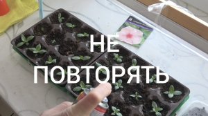 22 Февраля 2025  Эустому от мушки спасаю... С Днем Защитника Отечества!