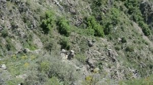 Ущелье Ромит | Дараи Ромит, влог  (welcome to Tajikistan)