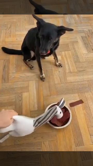 Лама умирлв смотреть онлайн