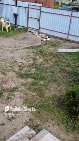 два сторожа