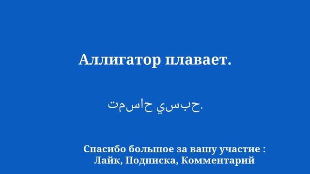 Изучайте арабский Путешествуйте с дикой природой: хамелеон, горилла смотреть онлайн