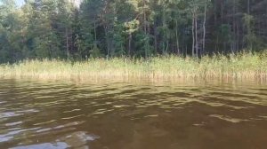 Ладожские шхеры| Поход, звездопад, грибы| 2023