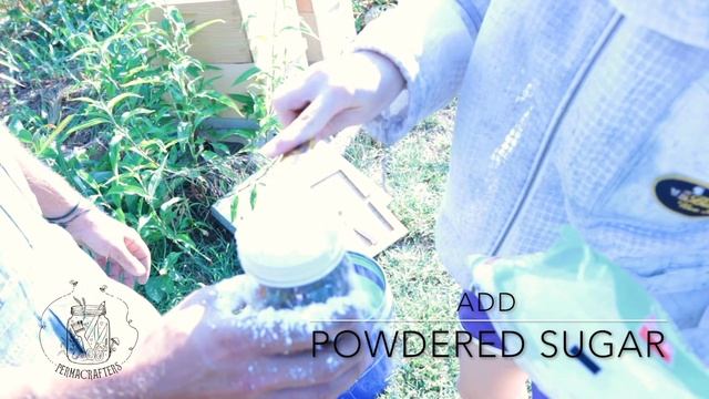 Sugar Shake to Test for Varroa Mites 🐝 смотреть онлайн