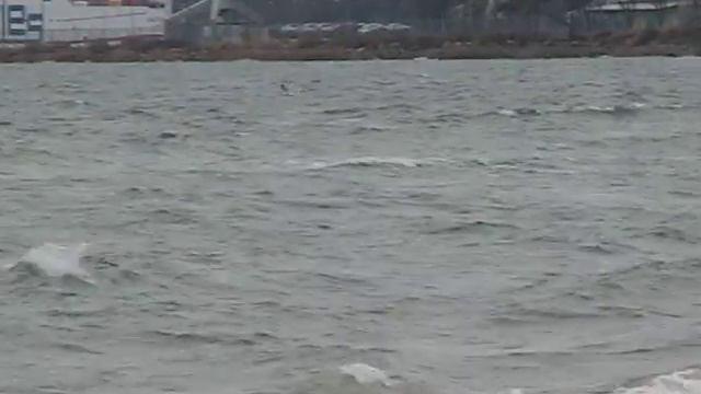 Baltic sea 2 смотреть онлайн