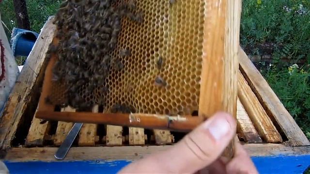 СРЕДНЕРУССКАЯ САНТА - БАРБАРА . 5 серия смотреть онлайн