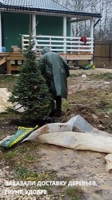 Осеннее озеленение дачи