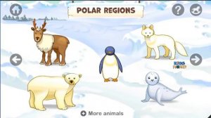 Baby Panda Play & Learn About Animals   Zoo Playground With Lots Of Animated Animals For Kids