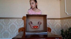 Челлендж угадай что в коробке на ощупь 2. Печенька и Тик Так.