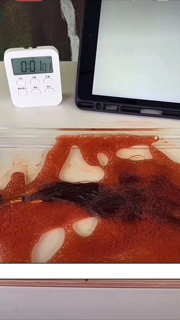 Hello Bubble Hair Dye 7AR Ash Rose on Black, Brown, Blonde Hair (Lisa Blackpink) #hellobubble смотреть онлайн