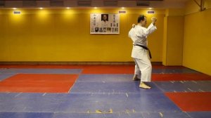 Вадо. Урок 28. Ката 24 - Дзиттэ