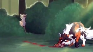 клип белка и кленовница/ кв / River Surface/ песня бесприданница