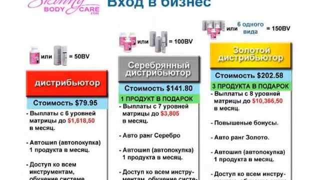10.04.2013 года - презентация компании Skinny Body Care для новичков. Спикер Сергей Лисица смотреть онлайн