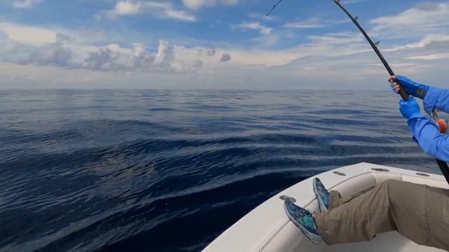 RAW Video (unedited) of Heidi's Blue Marlin out of Iztapa Guatemala. #3 of 7 смотреть онлайн