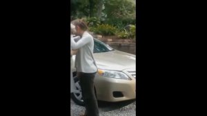 Радость собаки