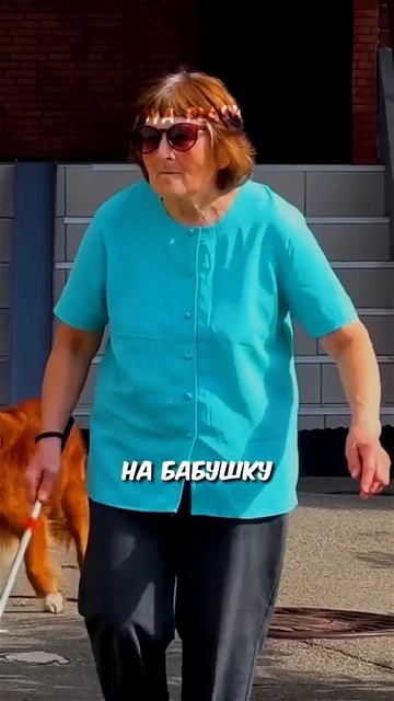 поступок собаки, ВЗРЫВАЕТ МОЗГ! 🤯 #животные #помощь #добро смотреть онлайн