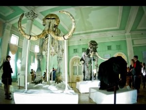 Почти всё о Новосибирске - МУЗЕИ.