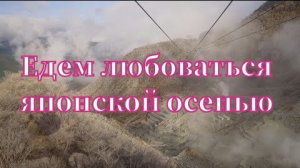 Едем любоваться японской осенью в Хаконе. Вулканы, озеро и много японского клена.