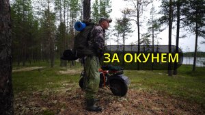 За окунем на озеро в жару. Рыбалка на удочку и на спиннинг.
