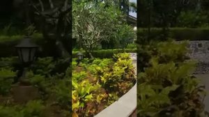 Beleza By The Beach,Goa