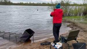 Фидерная рыбалка в начале апреля🌤 Трофейная плотва🐟 Прикормка F-Fishing♻️
