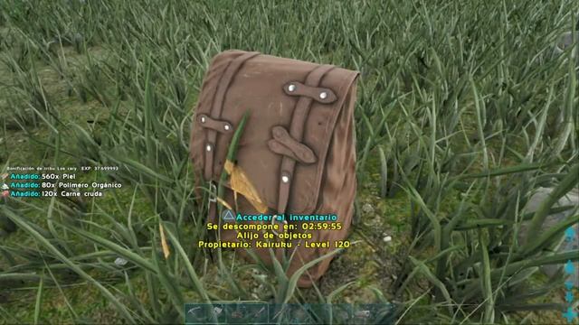 ARK: R.I.P kairuku смотреть онлайн