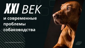 Основные проблемы собаководства