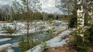 Прогноз на март 2025 год. Стихия воды: рак, скорпион, рыбы