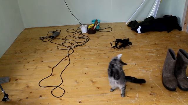 Кот Бегемот смотреть онлайн