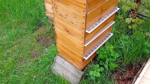 Отводок без поиска матки.